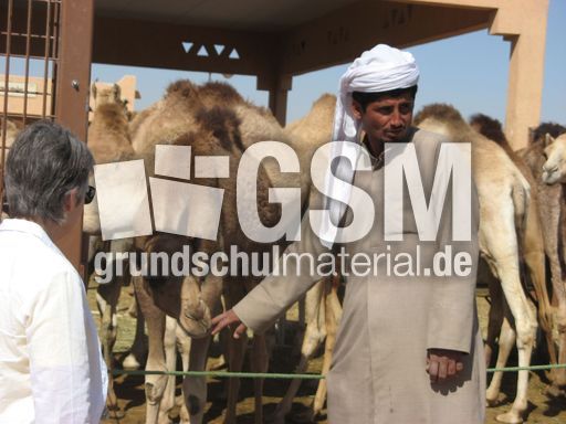 112 Kameltreiber.JPG